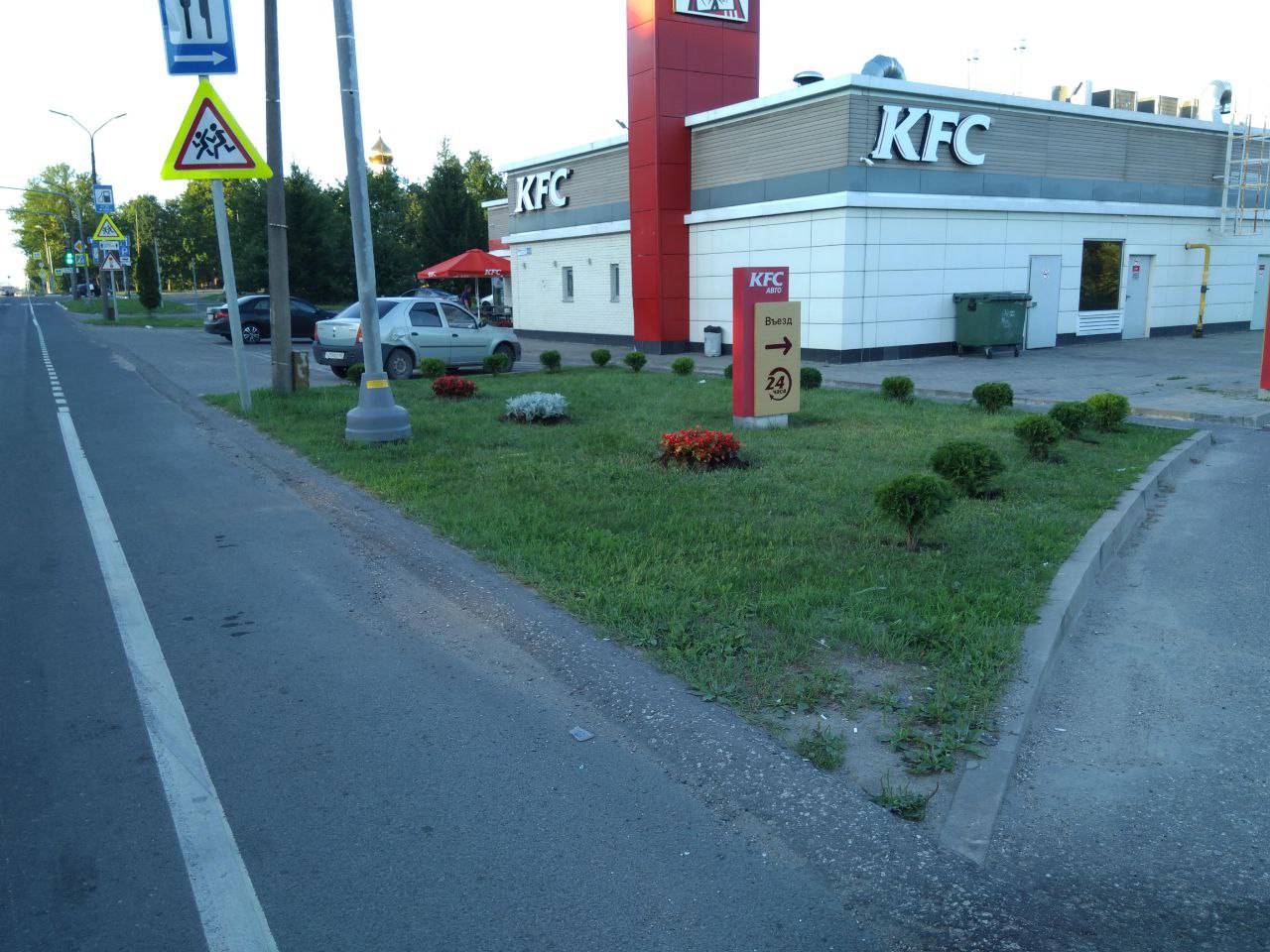 Живая изгородь